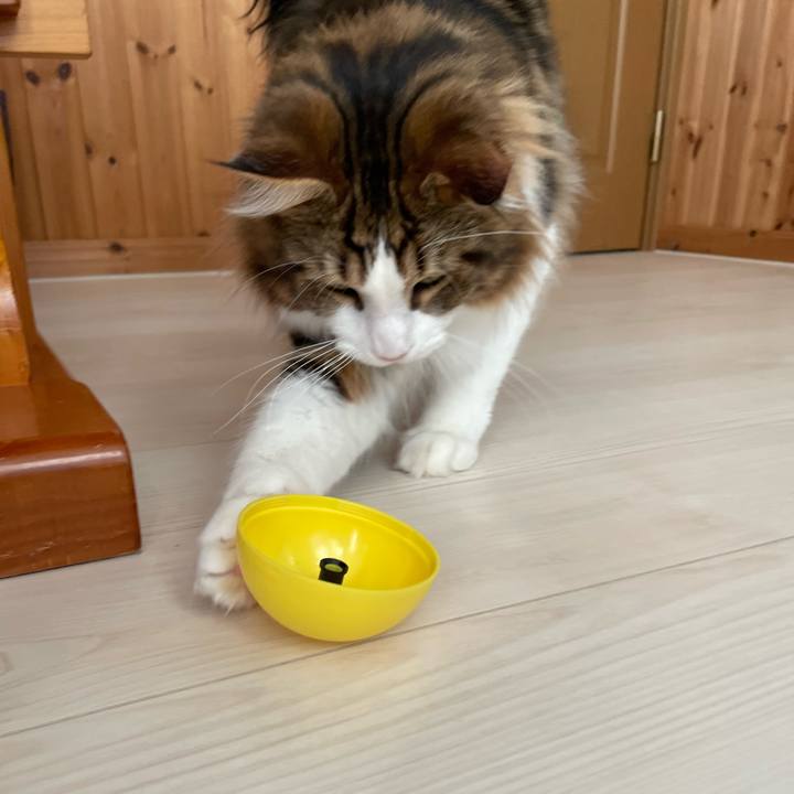 207266bc 7c8a 48b5 8563 53982e345254 1649109927475