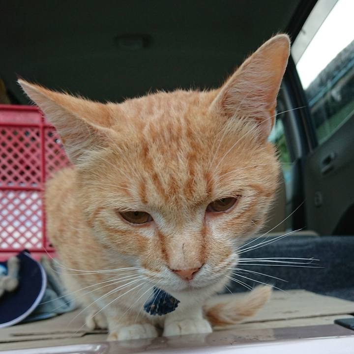 20726e83 c8db 4313 902b 95842297483d 1561369629810