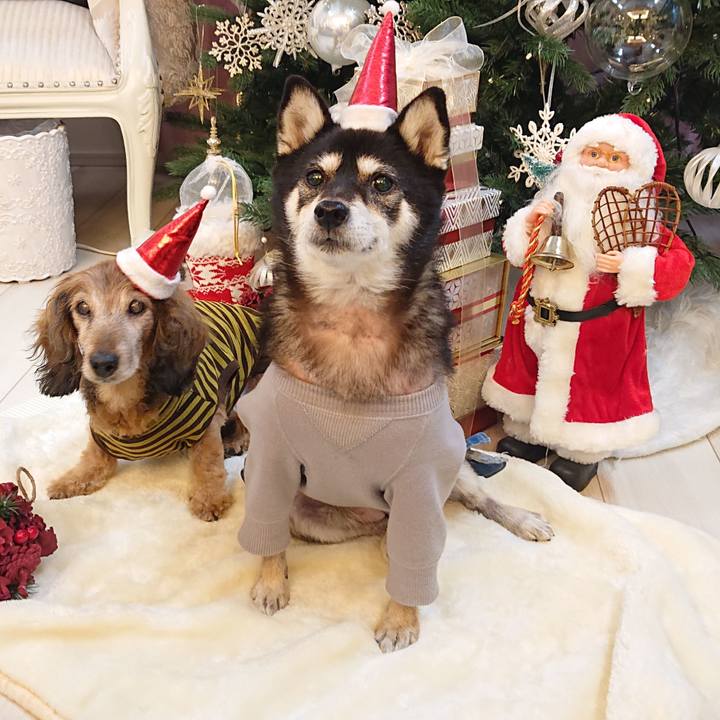 20728156 76c9 40f9 b5e4 85932ba78374 1640578798692