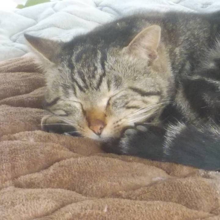 2072cd96 a98d 4d65 8923 a13bf0e7c826 1585898620525