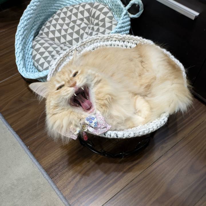 2072da53 1612 4e8a a52e a2a1d92c16fb 1754130287579