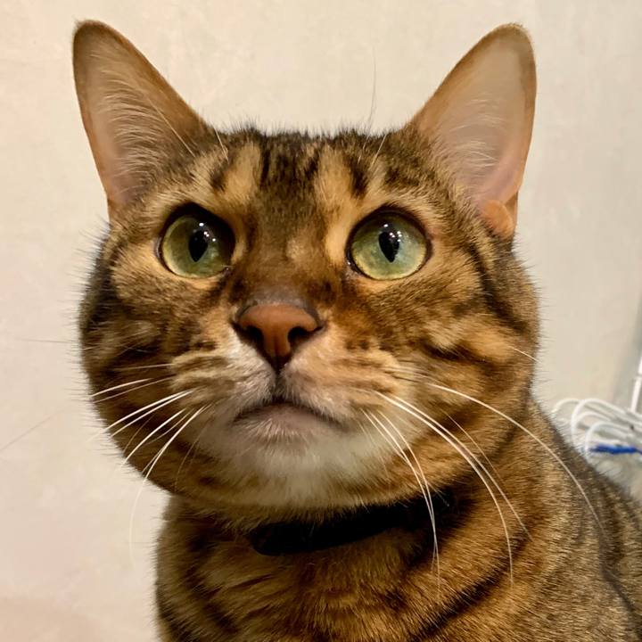 2073000a 2468 457e b0e7 f657d37fa215 1550790901077