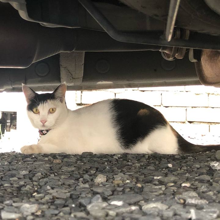 207316f1 fe15 428f b10c cbea20d6d746 1629938079358