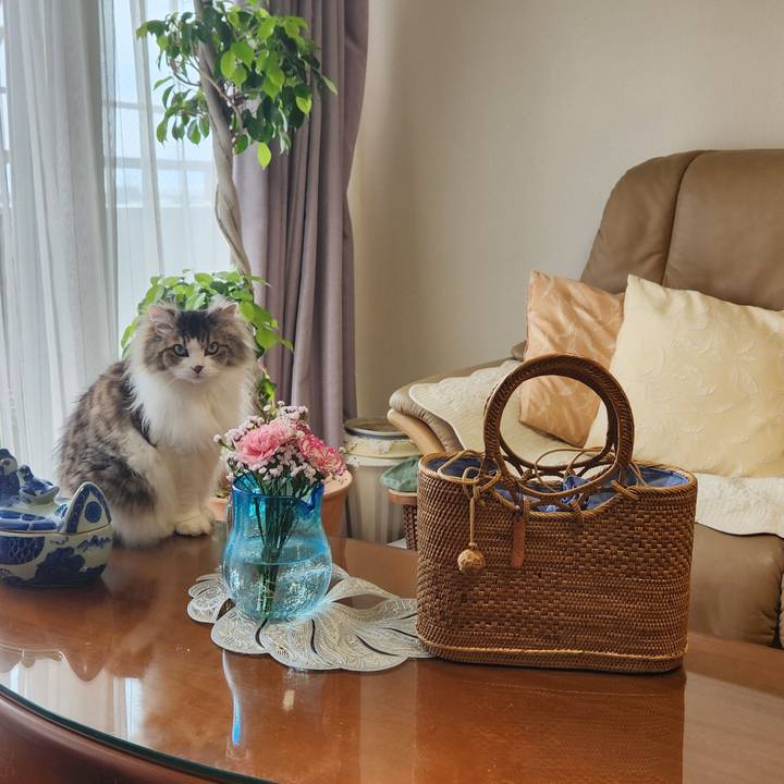 20731875 fa49 4448 992a 80d3d43b700b 1714961133743