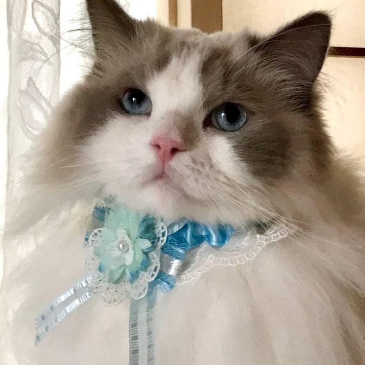 20732426 81b3 4458 a8e7 8b7e5be54a3e 1599342571787