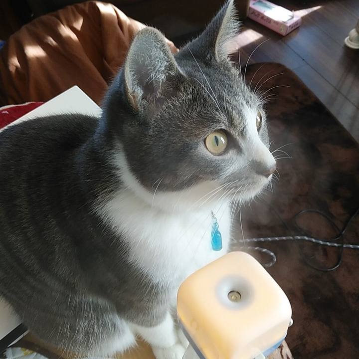 20733c16 c5fd 4173 b0c3 248e7eebbeaa 1578624962276