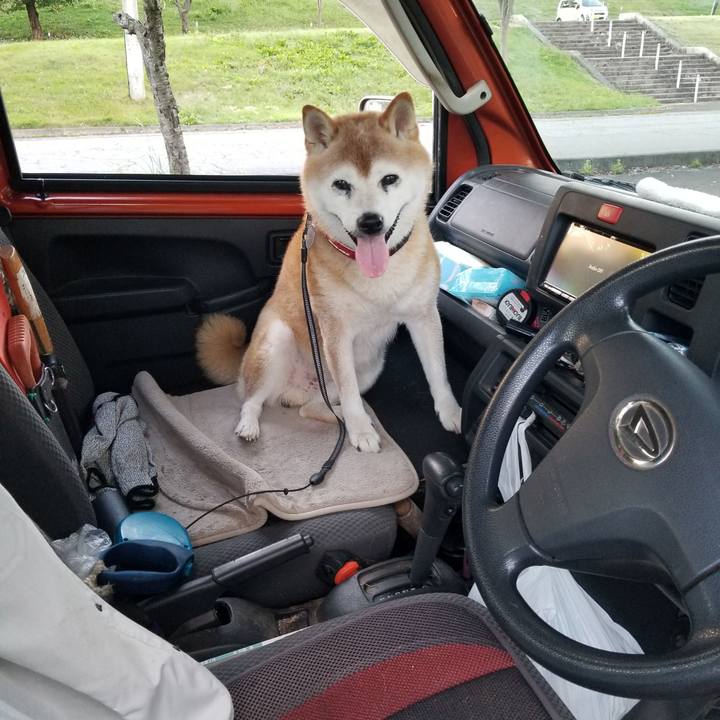 20734359 d425 4455 b30f 71c7f80cbb81 1726820475995