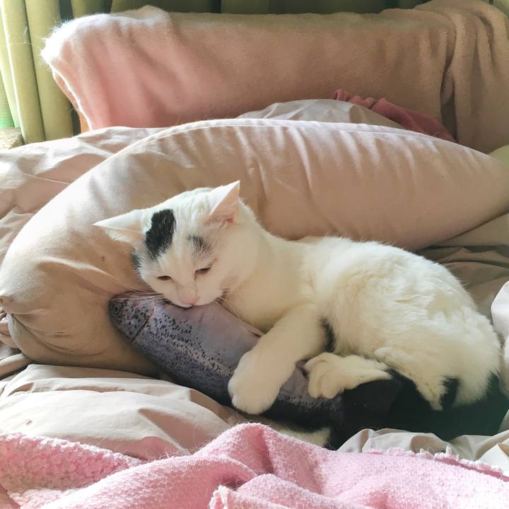 2073599a f909 4b20 97cd d742e36178b0 1614060795236