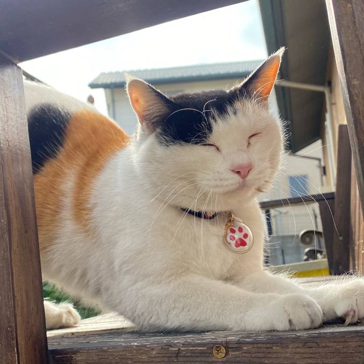 207359bf c7c3 4e8d ba3a 265ac072a191 1641812090796