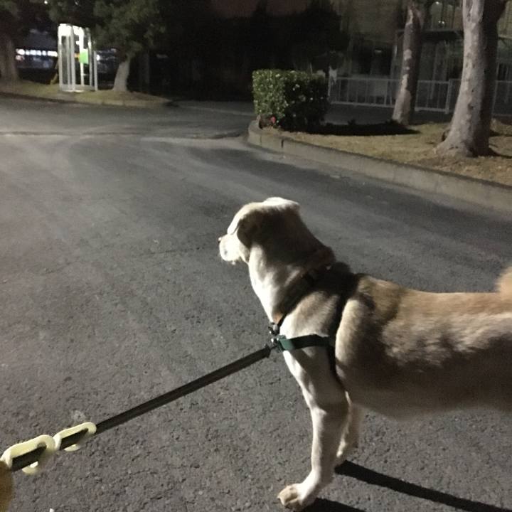 2073cd52 9770 4ab8 9c93 c6641e222e2a 1514198703687