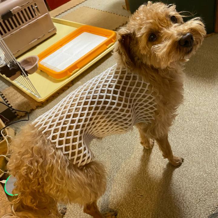 2073f447 d8cf 4e6e b46c a50fff07f88a 1627899261449