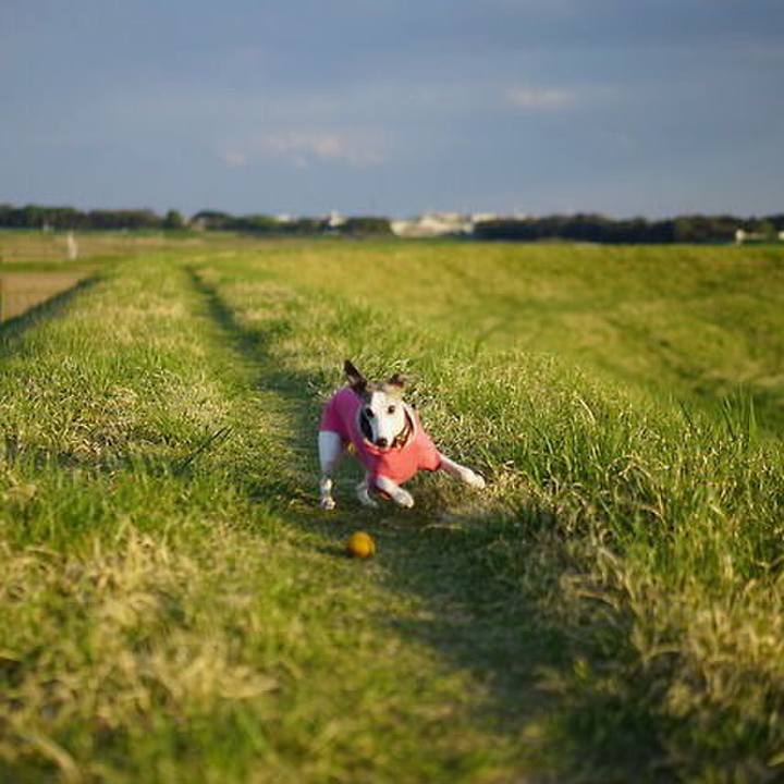 2073ffee 7000 4498 a738 8dd412fe24b7 1525518818623