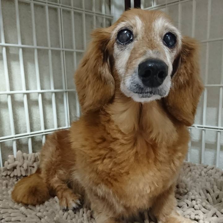 207403df 2d7d 4e62 92bc 73150894fdbf 1510020713711