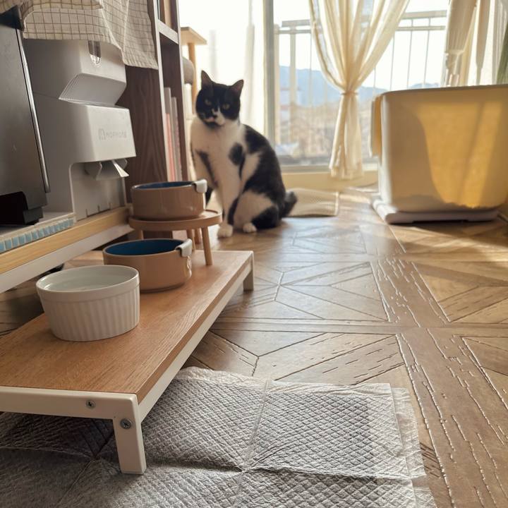 20749876 87d7 4bd8 a579 f8a5b3fce9a0 1769992736092