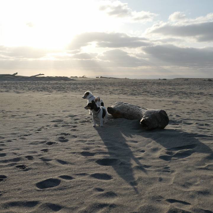 20749a65 7bae 4be6 8ec3 0ee70fe1475a 1521608002472