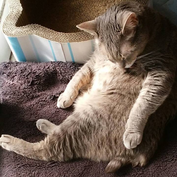 2074a926 ec3c 466c 9eef 7a4098cb999e 1581213942090