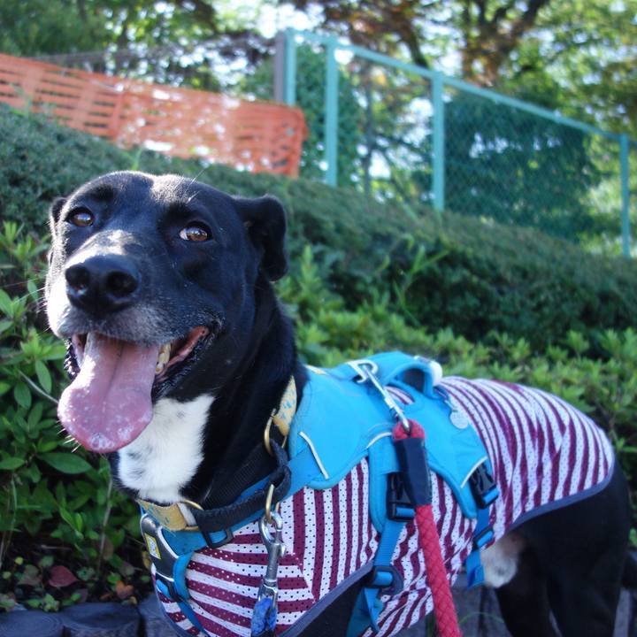 2074cc31 7ae2 4232 b50e d5834c3af7e7 1626479423236