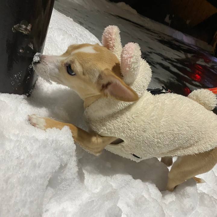 2074fc9a f57d 4766 89ba 1ca1aab312ad 1672731601726