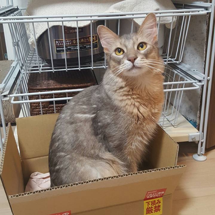 20752529 d797 4ff8 83c6 aae10abc1c41 1535110110893