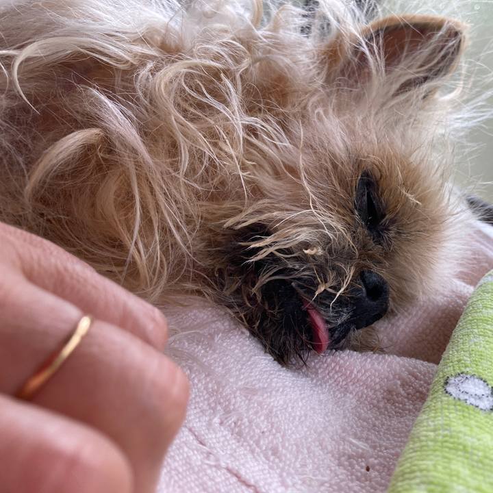 20752d14 6868 4332 8674 dc8ac5777263 1622848948042