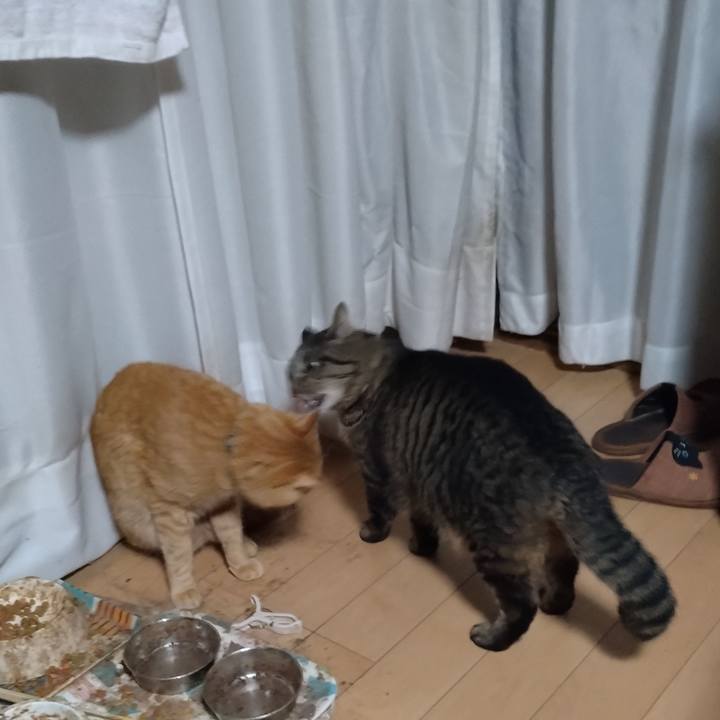 2075af32 8c56 4daa b62a 85cfc4aec0cd 1712441495151