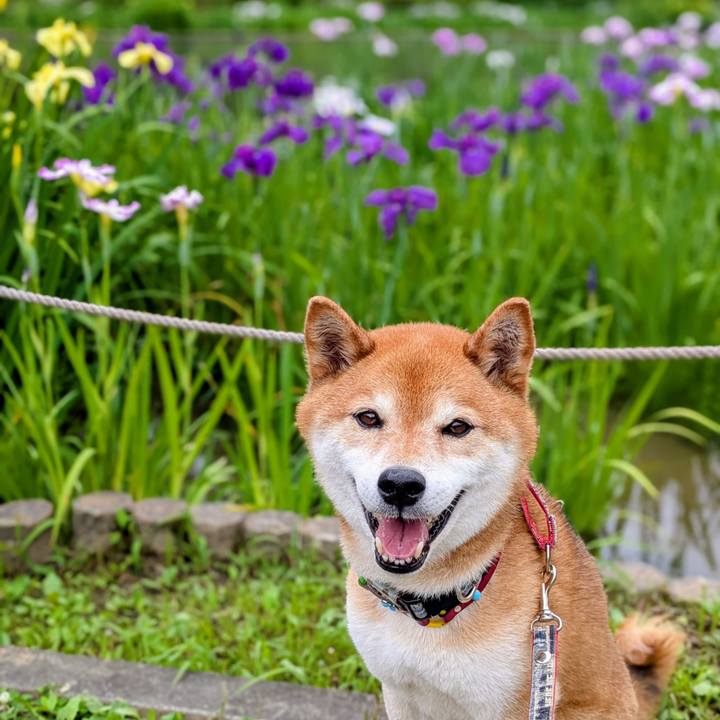 2075e623 671c 4327 8d3a 041828c63c50 1748766396202