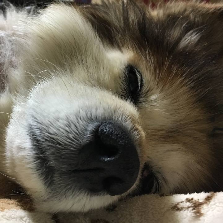 20762350 b20e 4d49 b37b 9af712238992 1602693447261