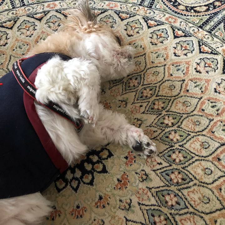 20762535 362a 4d40 b86f 6b1233f40bb1 1604267698997