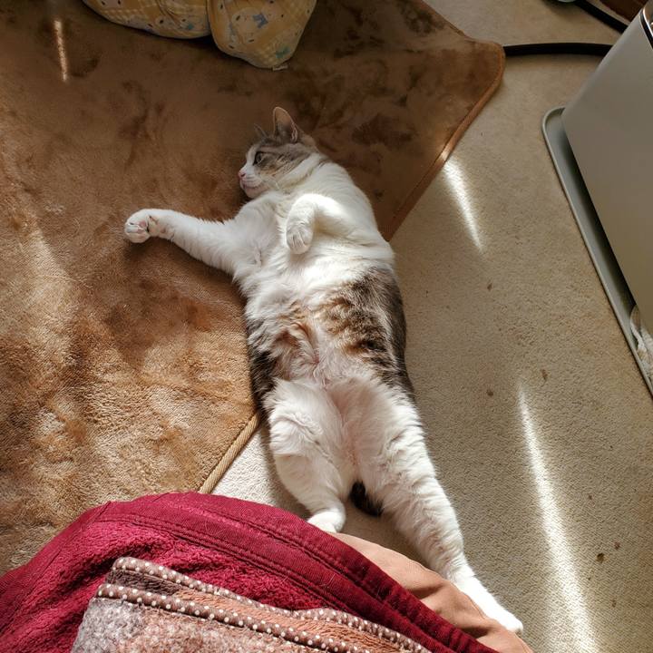 207632d3 f866 4050 87cb 53bfe2381853 1710149081489