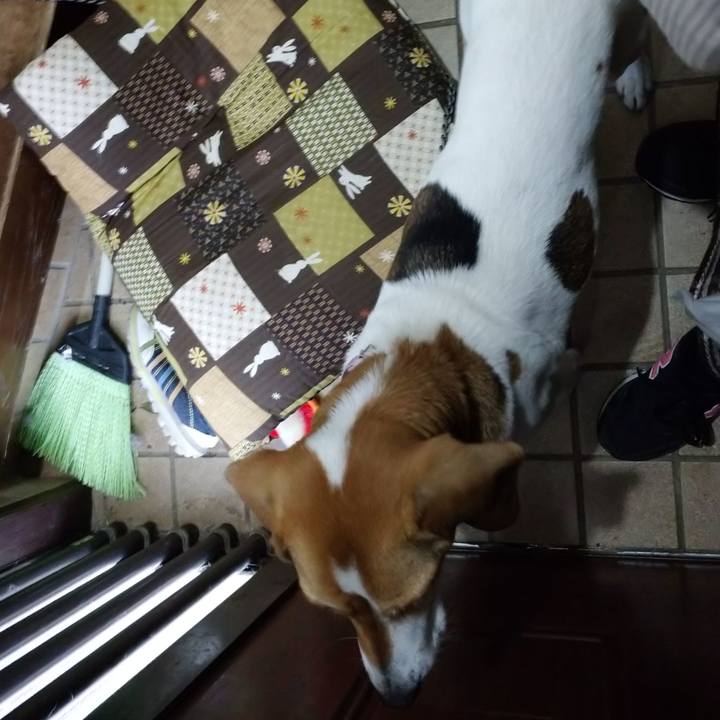 20763ad5 767f 469e b3ba f61d05b41c1b 1580192014733