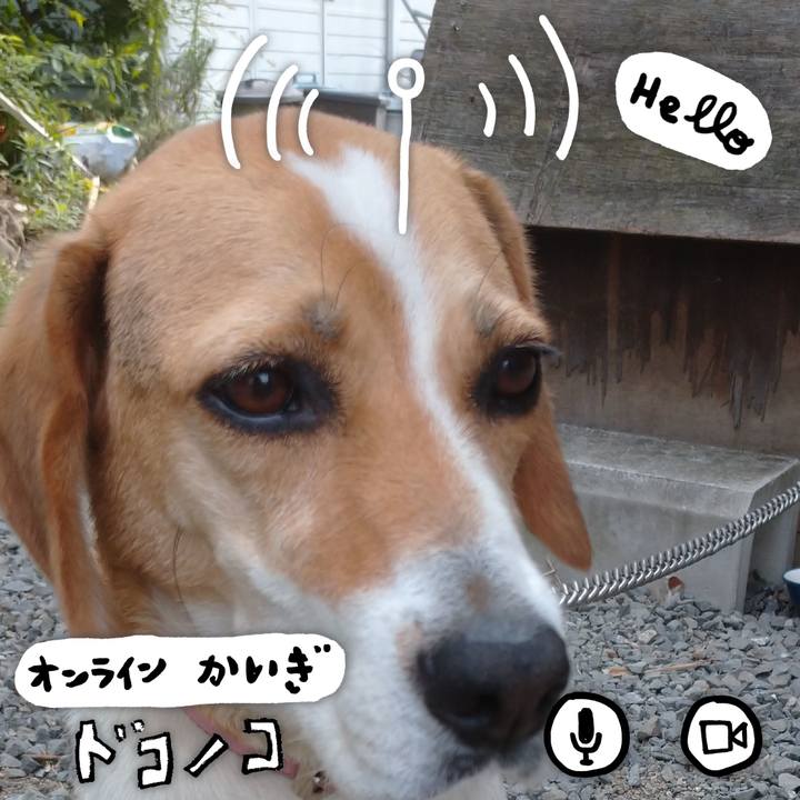 20766fbb e24f 4d64 bd86 0280cbbc9b9e 1593562002010