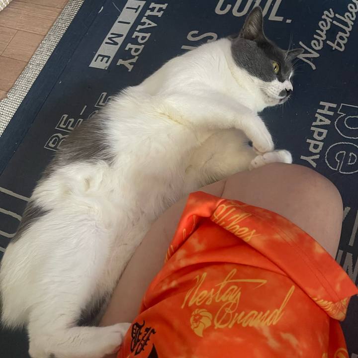 2076df2f e47c 46a8 8bf4 4b72c1696b87 1720682121365