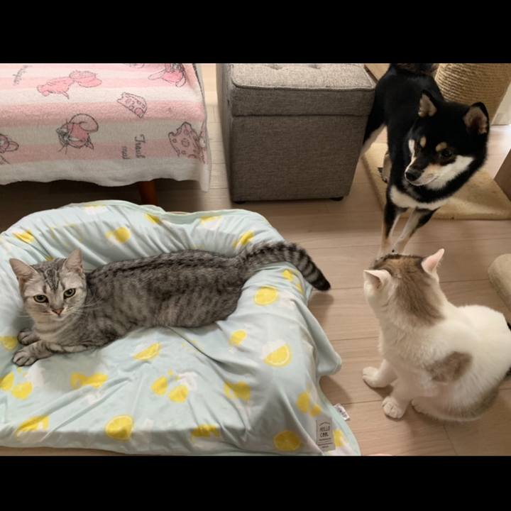 207710e7 9e93 4b82 b221 538b5d1c347e 1628223937980