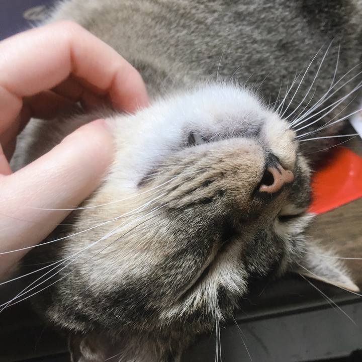 207720d1 5d63 432a bf3e e3aaf6bd38d0 1564062649034