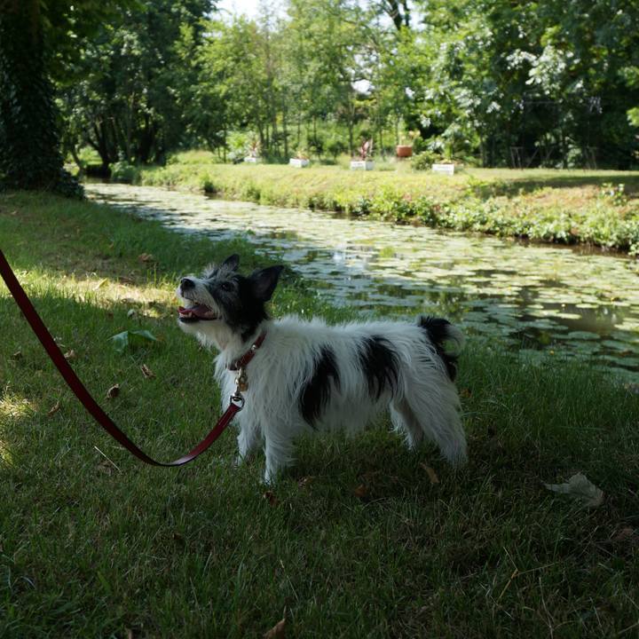 207732da e6a1 4d84 a9c5 27b4062caf2e 1591189221489