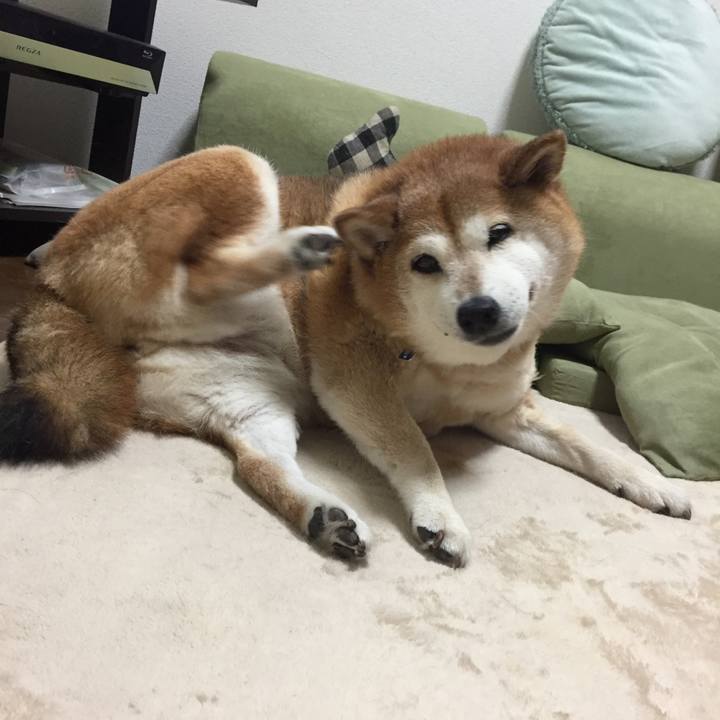 207765fb a001 4411 ae52 4e66e0b3997d 1529508090248