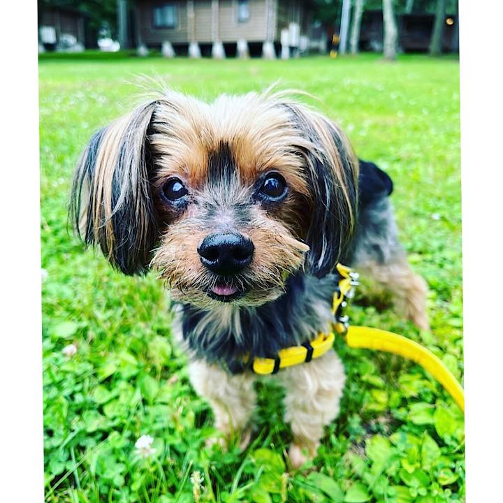 20777a76 51b2 40ea bdb3 2094849fa8a6 1688022392642