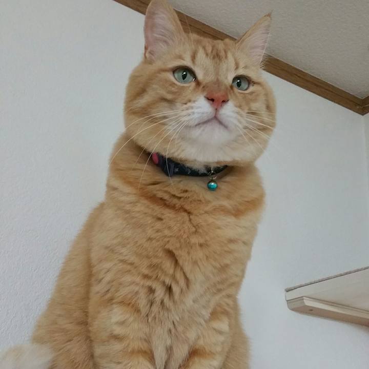 2077832e 5b0e 44ce 98ba 268b713a5984 1523578112183