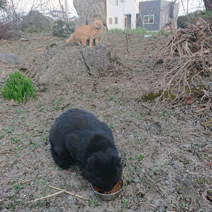 20778705 4a9a 41c4 b892 c10038dc0fad 1649843265974