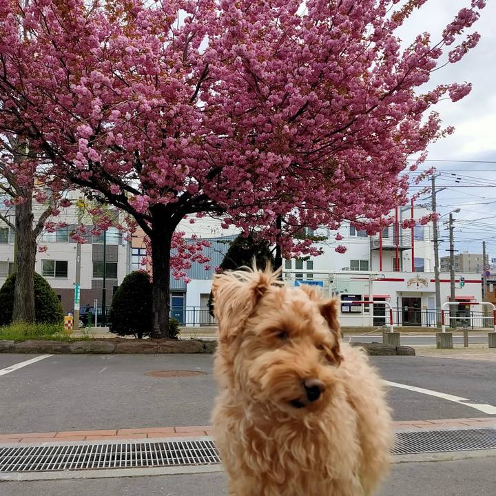 2077910f 052f 4541 9f10 8c9f37c04dbd 1589409429809