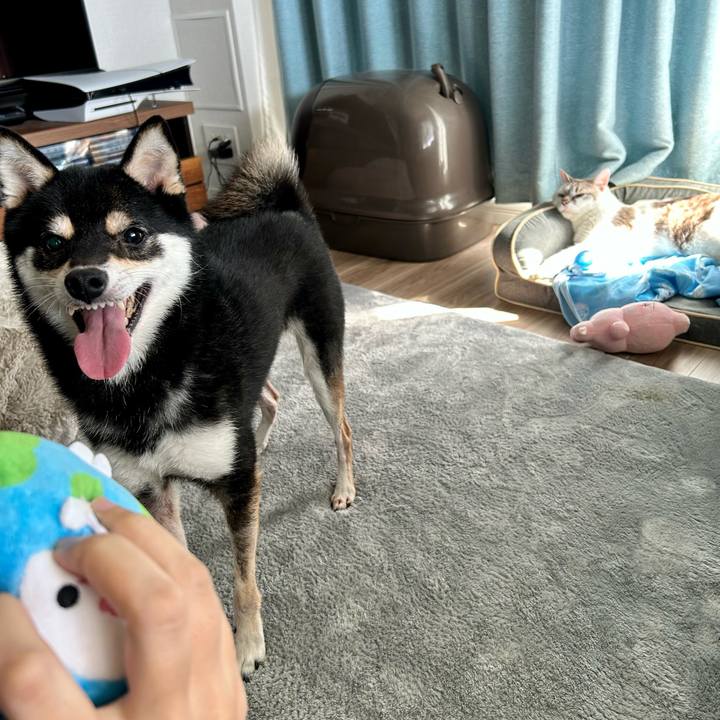 207822aa a392 4ee3 9a2b 22de4684e6aa 1723271182090