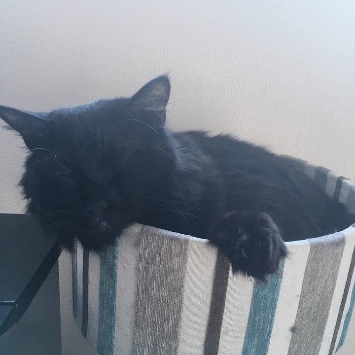 20784d1b dce3 41b1 8176 bdd557aca245 1518745090968