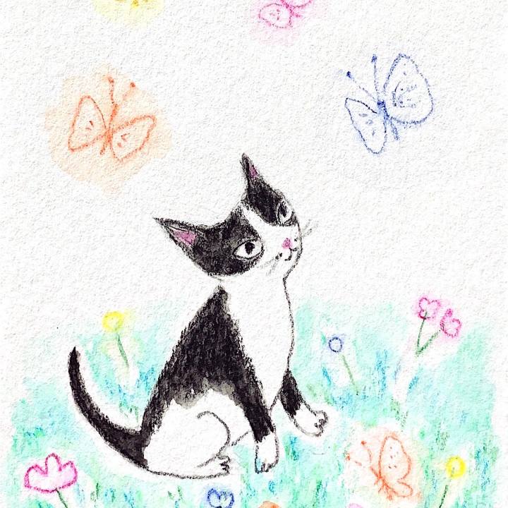 20786ef8 170a 4294 9093 7a041ed17b76 1660091016170