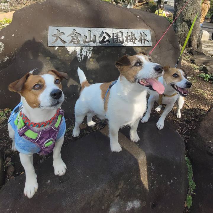 20787487 8cbf 4eeb 85cc 6cea919db466 1708419370288