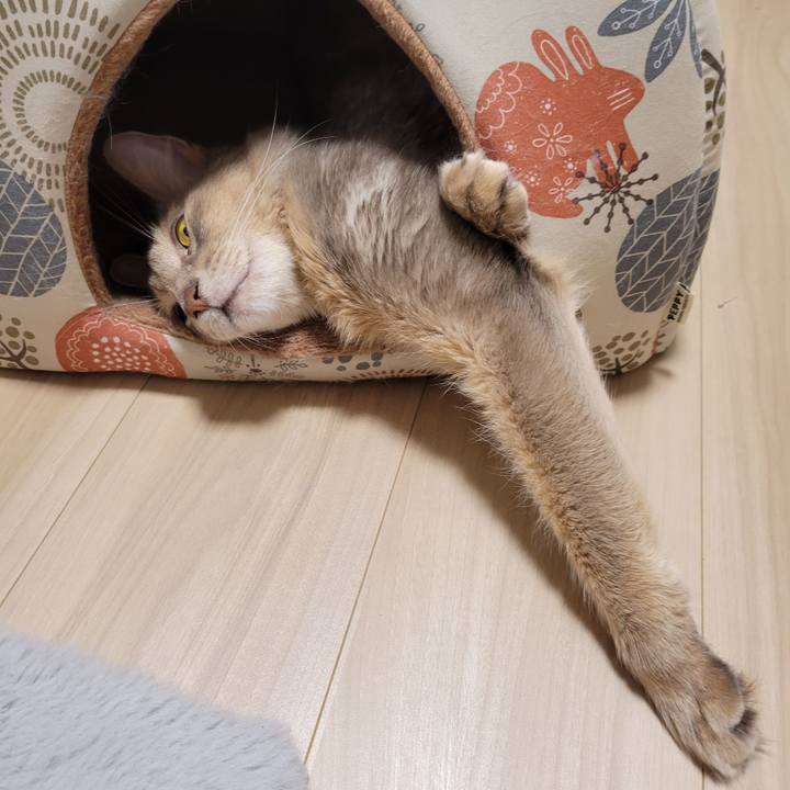 2078828b f03a 4919 8c5b 170f544a2cf8 1650072057227