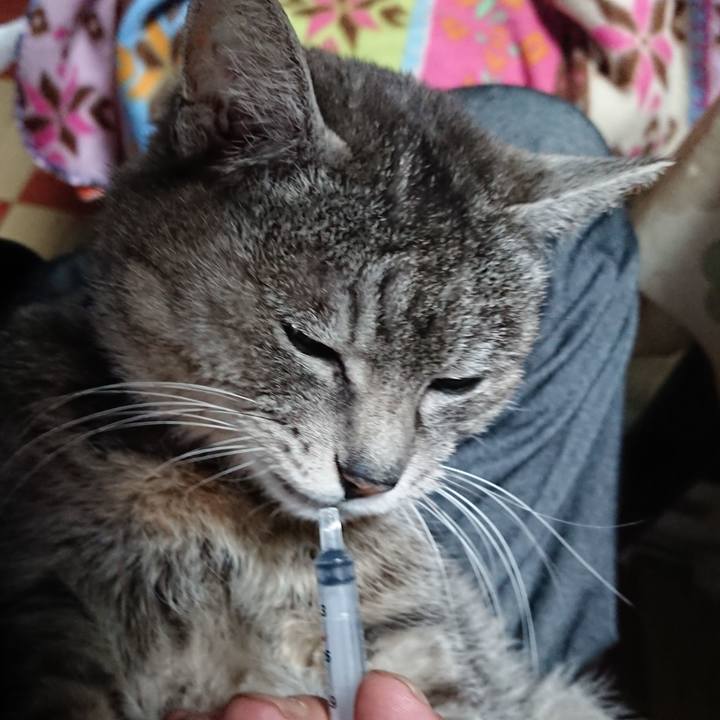 20788eaa c8c2 45d4 9e67 e892ae174edf 1585345579511