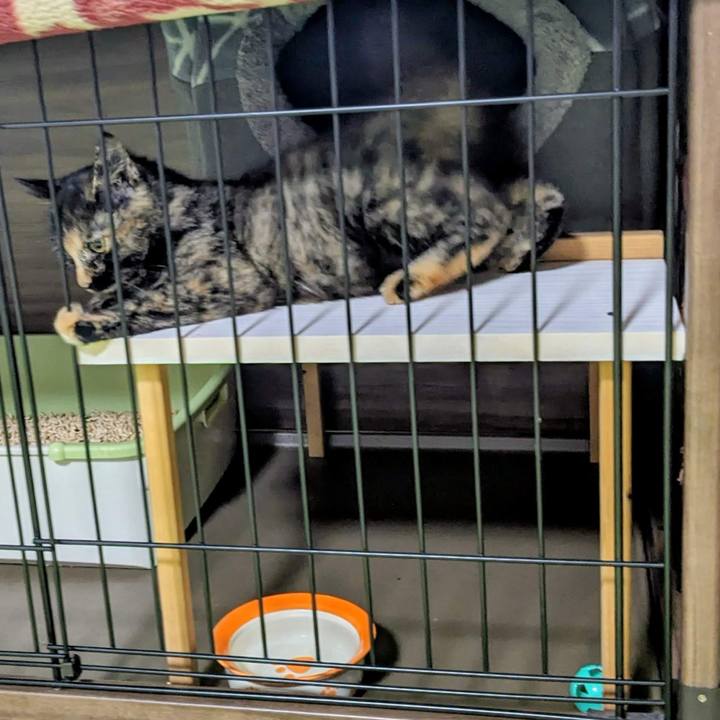 20789eea 08c7 42a5 8011 2cdac3776399 1762217912964