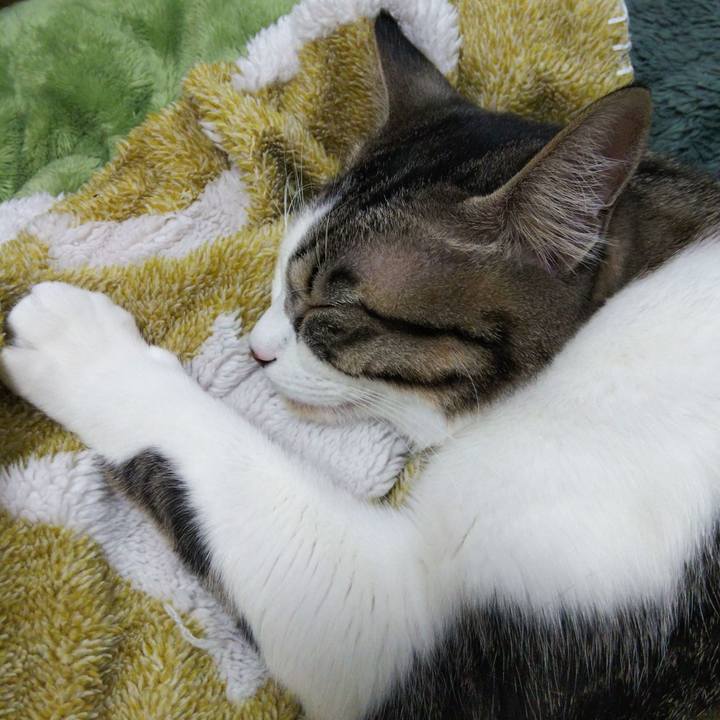 2078ac10 2ad6 4ed7 a091 3b43214eab97 1645096837852