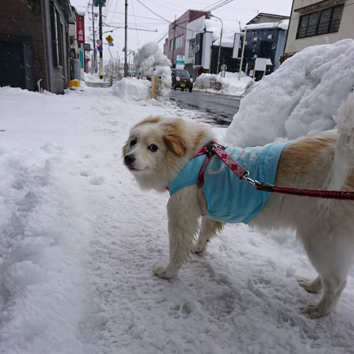 2078dabd cd3c 41d5 845a 604d0e7d2fb5 1518387053235