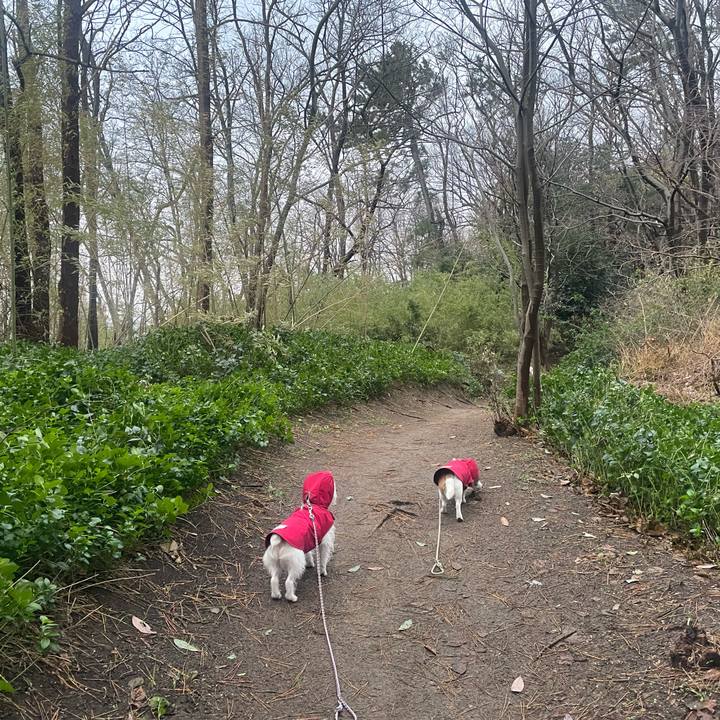 2078fb4e acfa 4353 878d cc9ecd3f88eb 1702855896494